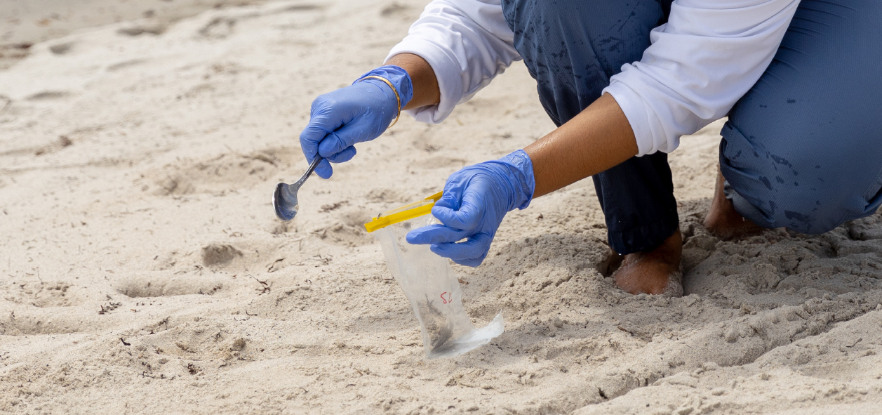 Researchers conducted lab tests on beach