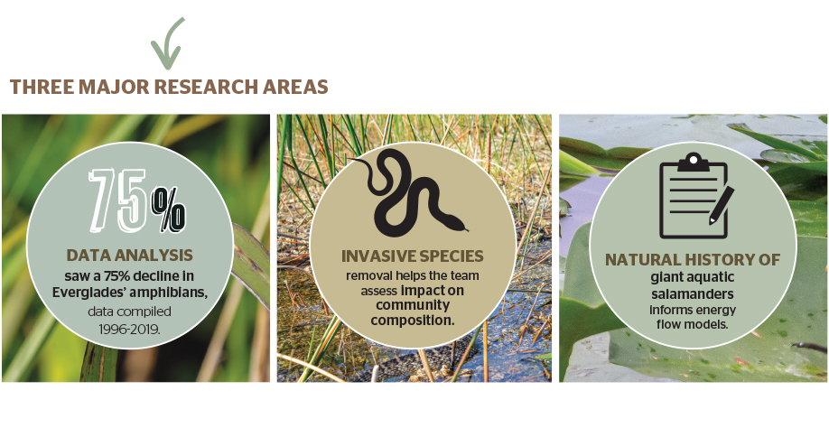 Three Major Research Areas