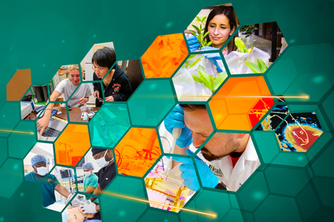  The University of Miami now stands in the top tier of advanced research institutions selected to join the prestigious Association of American Universities.